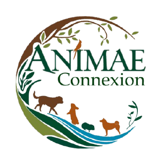 Logo du site